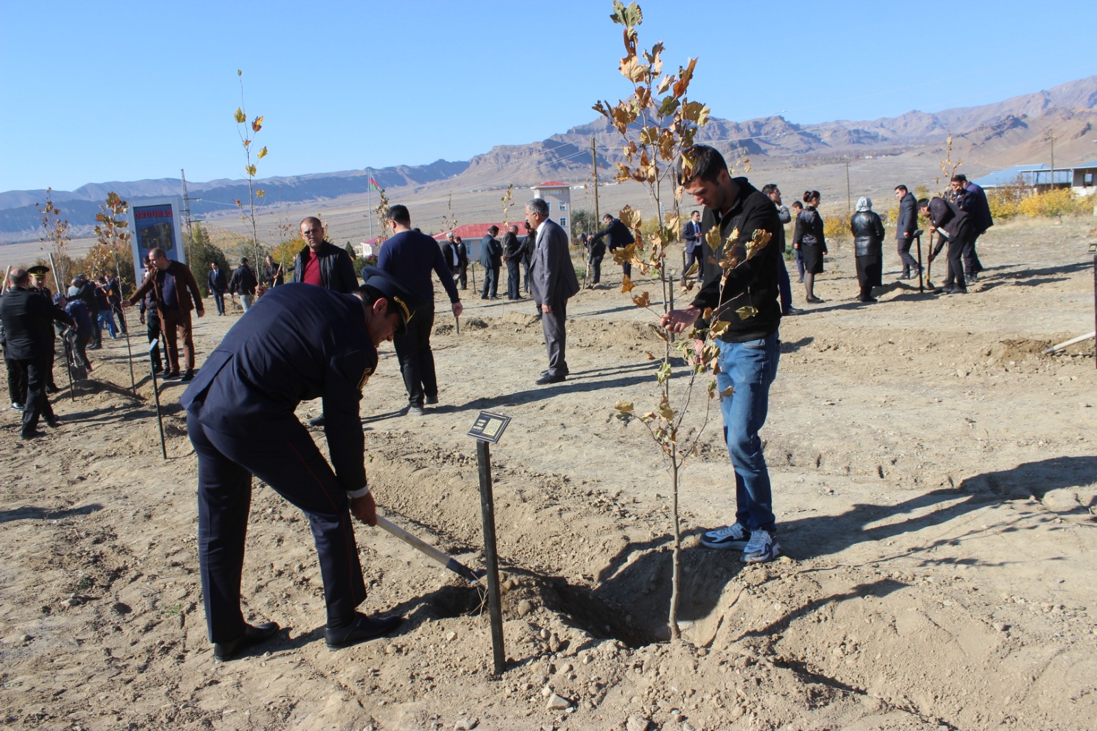 Ordubadda növbəti ağacəkmə aksiyası keçirilib (FOTO)