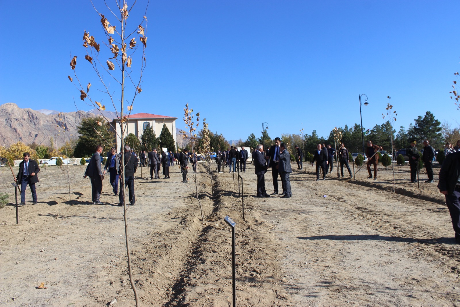 Ordubadda növbəti ağacəkmə aksiyası keçirilib (FOTO)