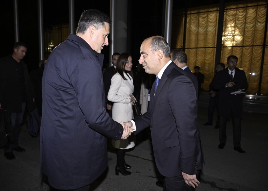 Delegation from Bosnia and Herzegovina arrives in Azerbaijan (PHOTO)