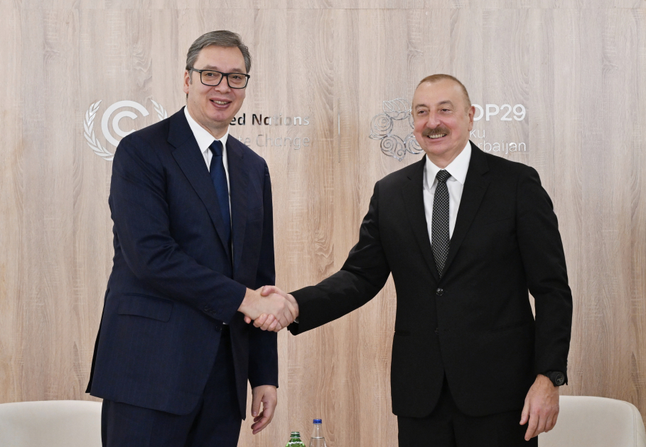 President Ilham Aliyev meets with Serbian President (PHOTO/VIDEO)