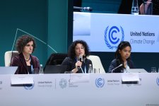 Azerbaijan's Baku hosts press conference as part of COP29