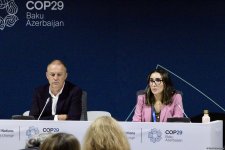 Azerbaijan's COP29 features panel discussion on carbon markets (PHOTO)