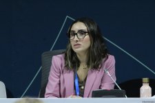 Azerbaijan's COP29 features panel discussion on carbon markets (PHOTO)