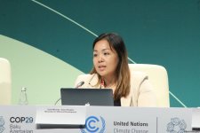 COP29 hosts “Global Campaign to Demand Climate Justice” panel discussion (PHOTO)