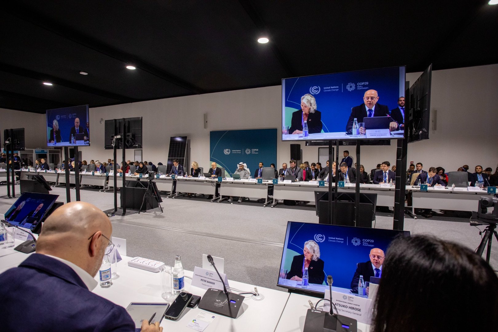 COP29 hosts ministerial dialogue on hiking renewable energy efficiency investments (PHOTO)