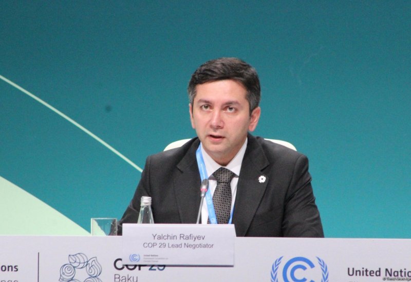 Agricultural sectors need to be assisted in adapting to hot climate - COP29 official