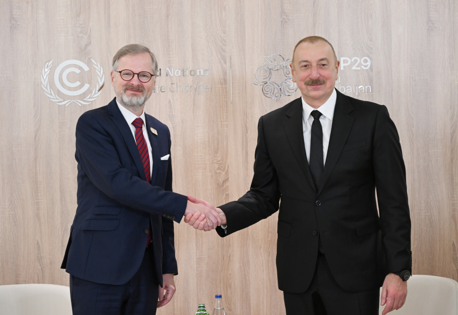 President Ilham Aliyev meets with Czech PM (PHOTO/VIDEO)