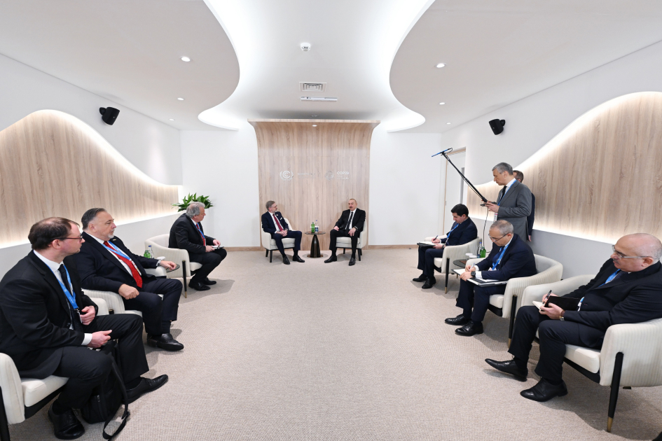 President Ilham Aliyev meets with Czech PM (PHOTO/VIDEO)