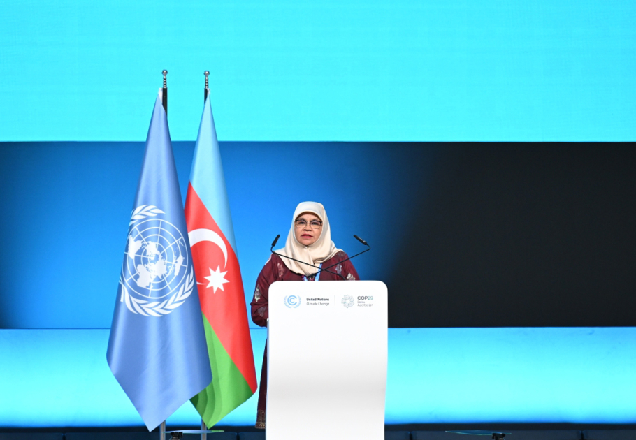 Baku hosts opening ceremony of COP29 Leaders' Summit, President Ilham Aliyev addresses event (PHOTO/VIDEO)