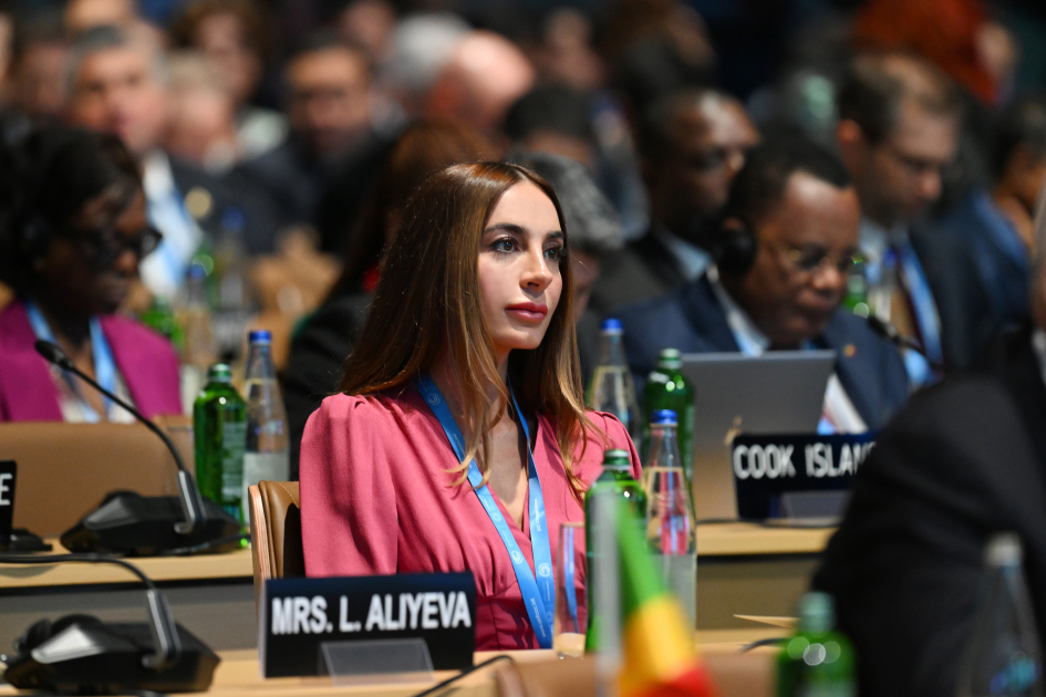 Baku hosts opening ceremony of COP29 Leaders' Summit, President Ilham Aliyev addresses event (PHOTO/VIDEO)