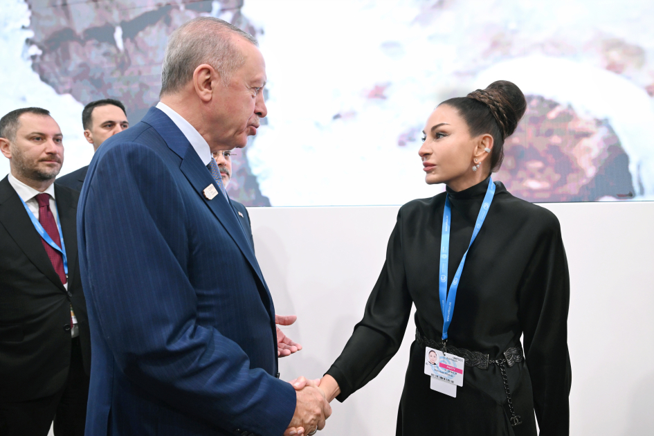 Baku hosts opening ceremony of COP29 Leaders' Summit, President Ilham Aliyev addresses event (PHOTO/VIDEO)