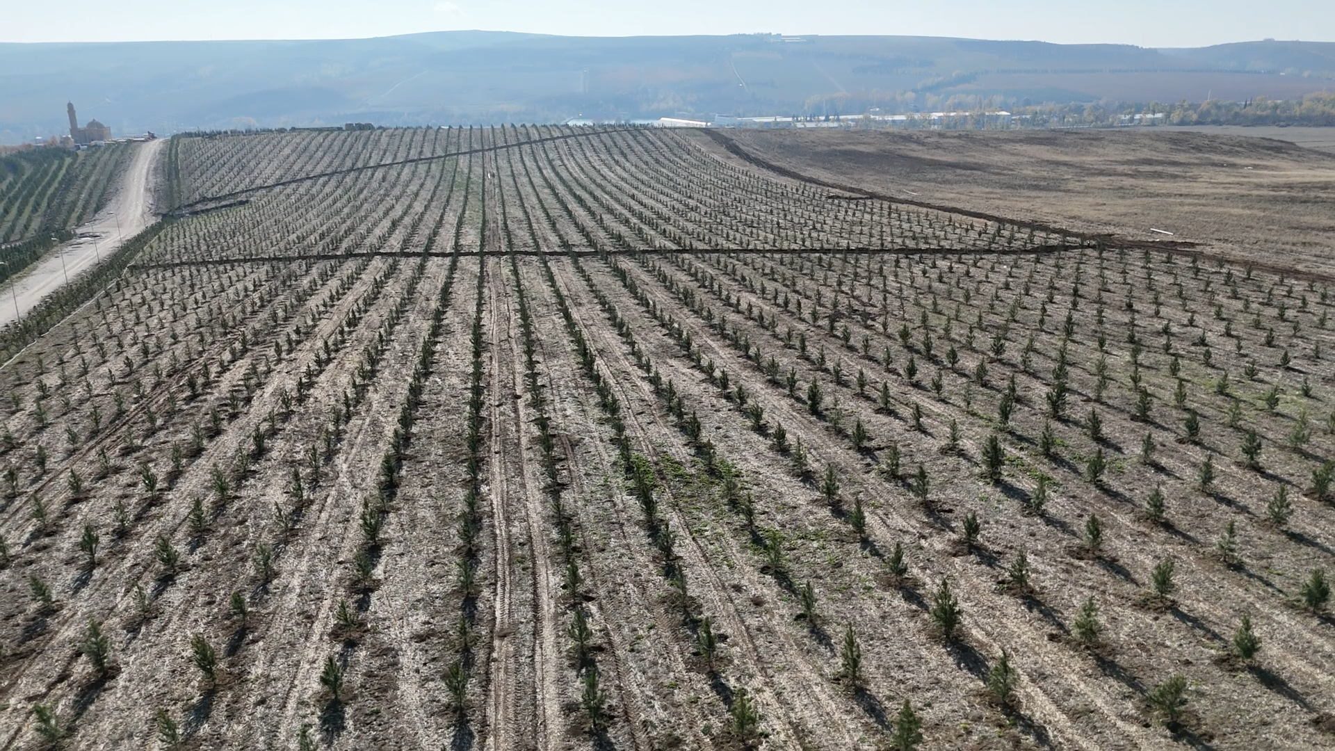 Tree planting campaign held in Shamakhi district at initiative of Heydar Aliyev Foundation, Zero Waste Foundation of Türkiye (PHOTO/VIDEO)