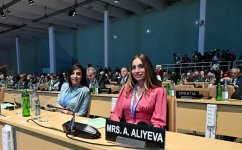 Baku hosts opening ceremony of COP29 Leaders' Summit, President Ilham Aliyev addresses event (PHOTO/VIDEO)