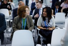 Corporate sustainability panel held at COP29 green zone in Azerbaijan