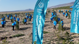 Tree planting campaign held in Shamakhi district at initiative of Heydar Aliyev Foundation, Zero Waste Foundation of Türkiye (PHOTO/VIDEO)