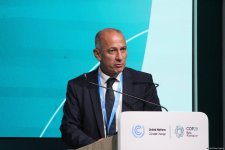 COP29 meetings yield fruit with inking of three vital instruments - official (PHOTO)