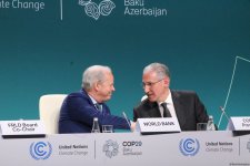 COP29 meetings yield fruit with inking of three vital instruments - official (PHOTO)