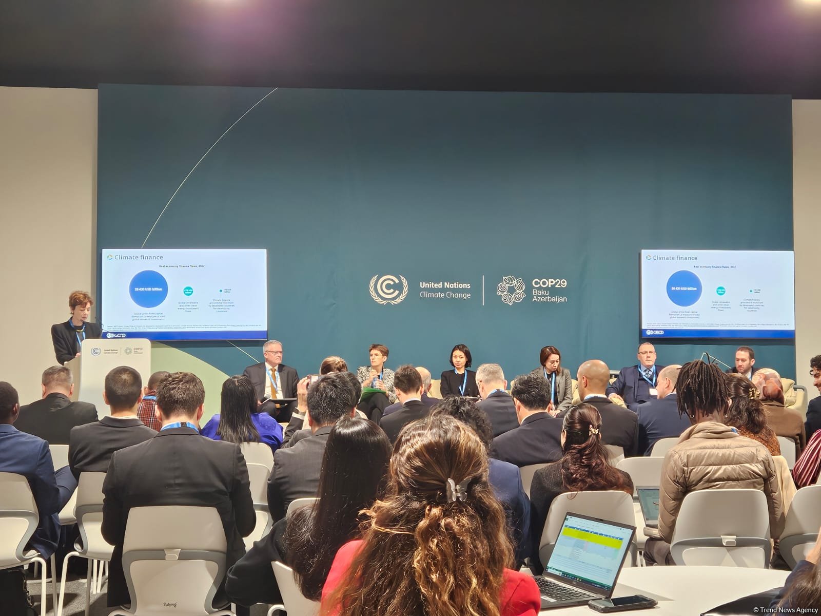 COP29 hosts panel discussion on national earmarked contributions