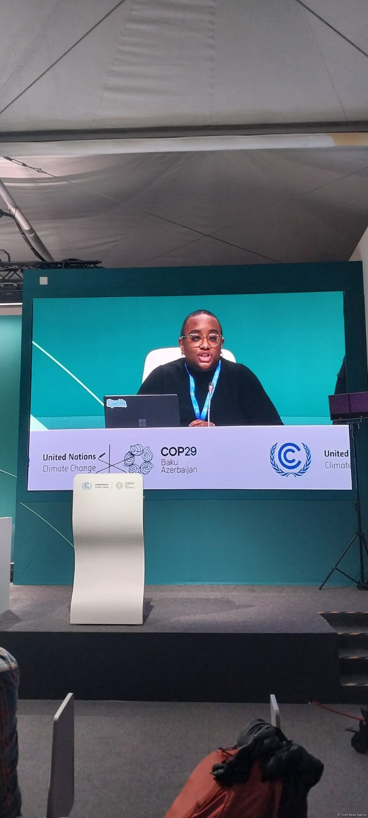 USCAN: How US Election Results Signal Climate Turning Point - COP29 press conference (PHOTO)