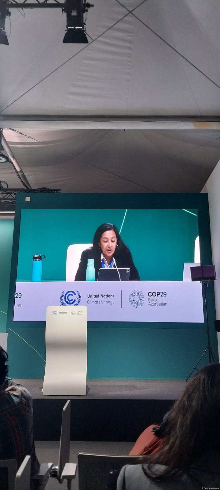 USCAN: How US Election Results Signal Climate Turning Point - COP29 press conference (PHOTO)