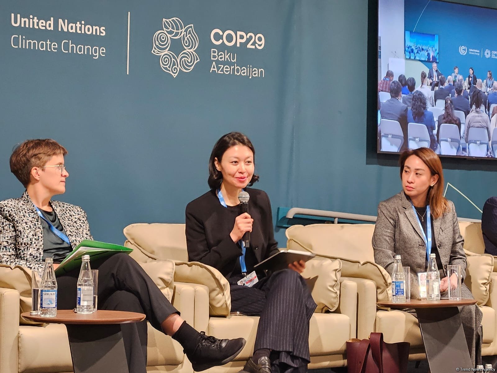 Kazakhstan facing serious consequences of climate change - presidential representative