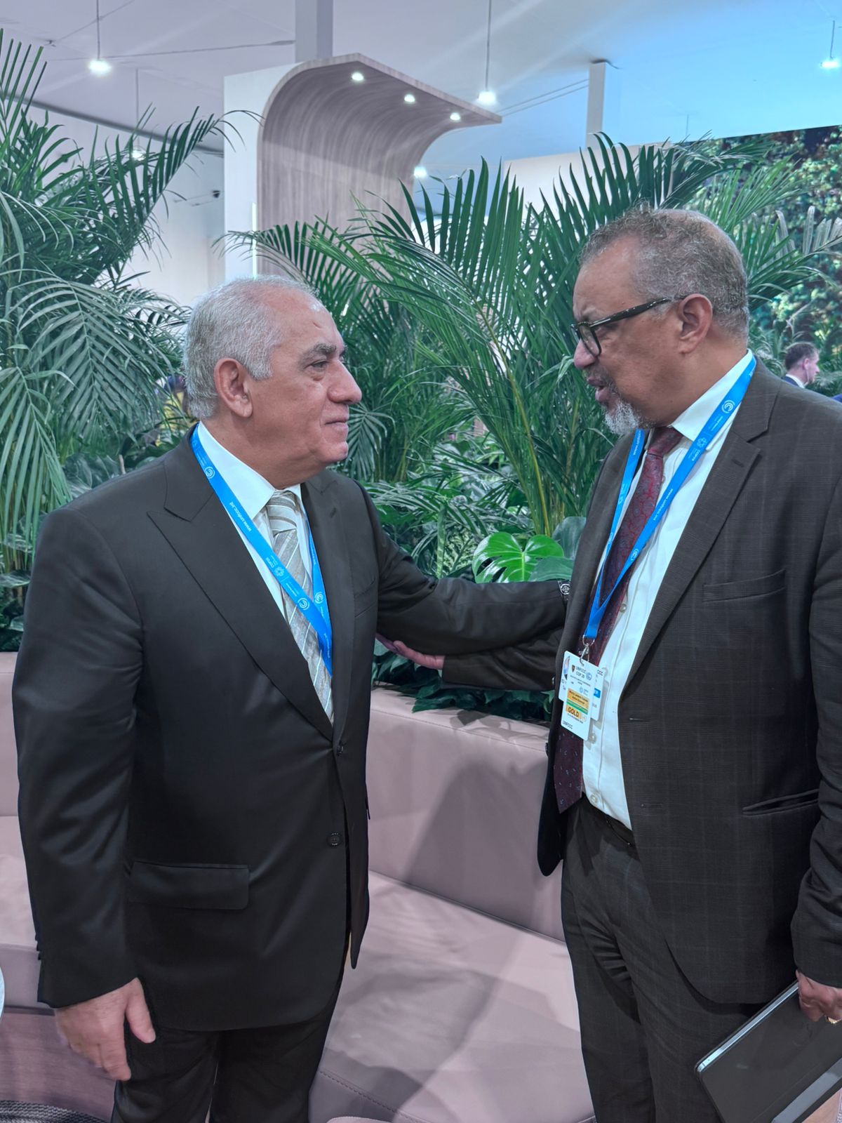 Azerbaijani PM weighs climate change impact on human health with WHO chief (PHOTO)