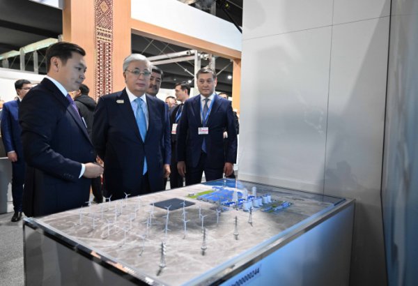 Kazakhstan puts on its innovative plant model at COP29 in Azerbaijan