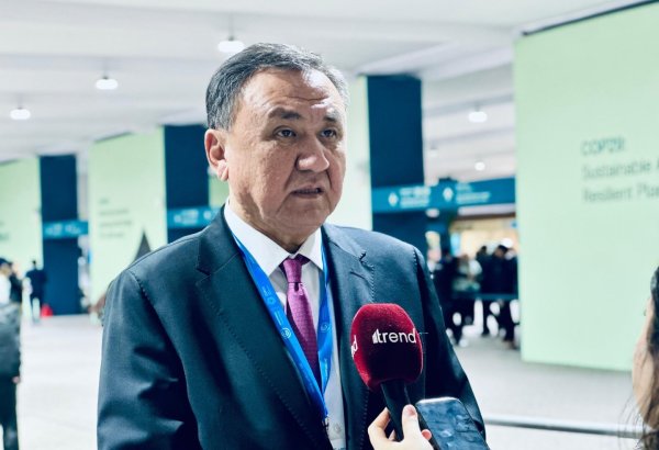 COP for Hope: Turkic nations feel proud of Azerbaijan's COP29 hosting - OTS SecGen (Exclusive) (PHOTO)