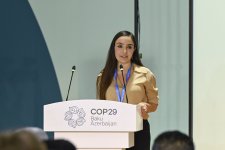 В рамках COP29 представлено издание Фонда Гейдара Алиева «Азербайджан. Вдохновляясь от природы» (ФОТО/ВИДЕО)