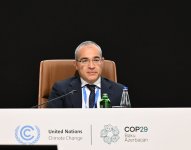 В рамках COP29 cо Всемирным экономическим форумом проведена сессия высокого уровня (ФОТО)