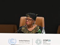 В рамках COP29 cо Всемирным экономическим форумом проведена сессия высокого уровня (ФОТО)