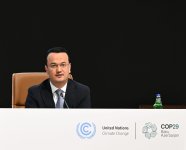 В рамках COP29 cо Всемирным экономическим форумом проведена сессия высокого уровня (ФОТО)