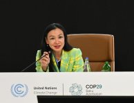 В рамках COP29 cо Всемирным экономическим форумом проведена сессия высокого уровня (ФОТО)