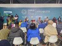 Обсуждены ожидания африканских Организаций гражданского общества от COP29 в Баку (ФОТО)