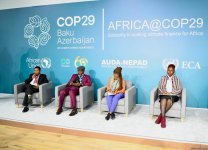 Обсуждены ожидания африканских Организаций гражданского общества от COP29 в Баку (ФОТО)