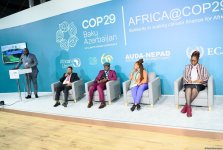 Обсуждены ожидания африканских Организаций гражданского общества от COP29 в Баку (ФОТО)