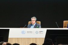 COP29 çərçivəsində “Əməkdaşlığın gücü: xalis sıfır üçün birləşdirici qüvvələr” adlı plenar sessiya keçirilib (FOTO)