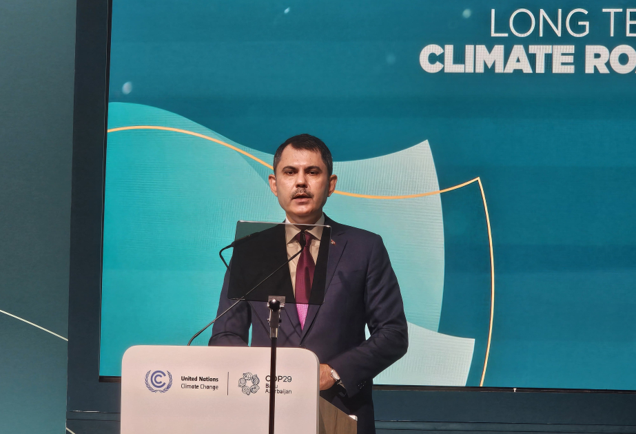 Türkiye can transform climate change challenges into opportunities - minister