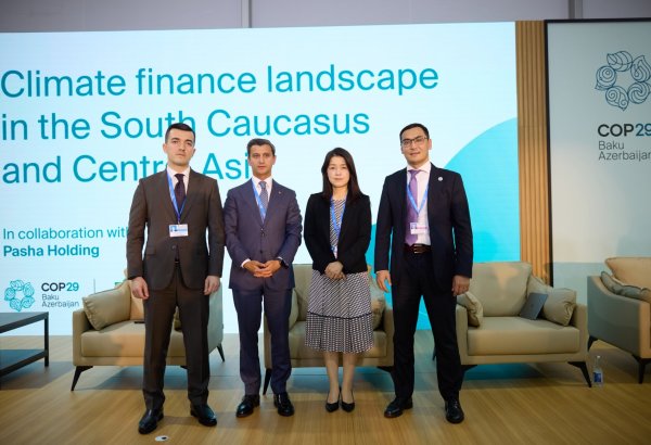 COP29 Green Zone hosts Climate Finance Landscape in South Caucasus and Central Asia (PHOTO)