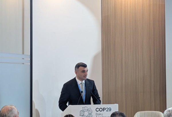 Azerbaijan reveals key elements of roadmap to promote interoperability of sustainable finance taxonomies