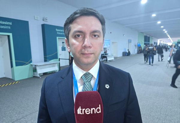 COP for Hope: Key achievements at COP29 (Exclusive interview)