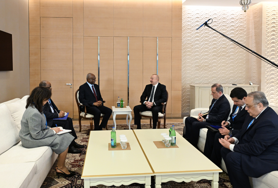 President Ilham Aliyev meets with President of 79th session of UN General Assembly (PHOTO/VIDEO)