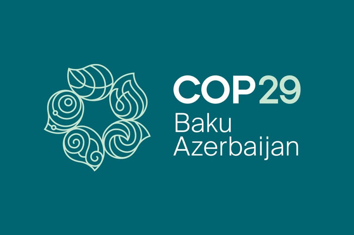 Russian companies participate in discussions at COP29