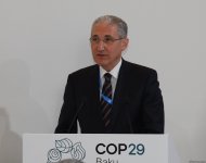 На COP29 прошло мероприятие, посвященное роли высших органов финконтроля в климатических действиях (ФОТО)