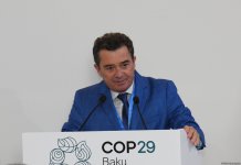 На COP29 прошло мероприятие, посвященное роли высших органов финконтроля в климатических действиях (ФОТО)