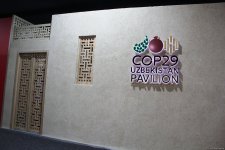 Разнообразие культур на COP29 в Баку – креативные павильоны, ковры, экспозиции (ФОТО)