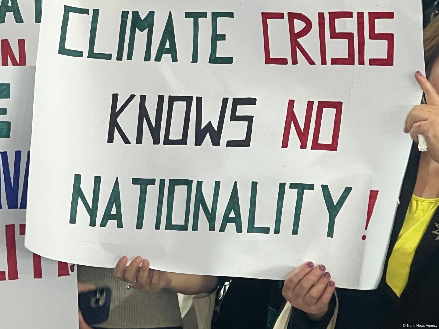 COP29