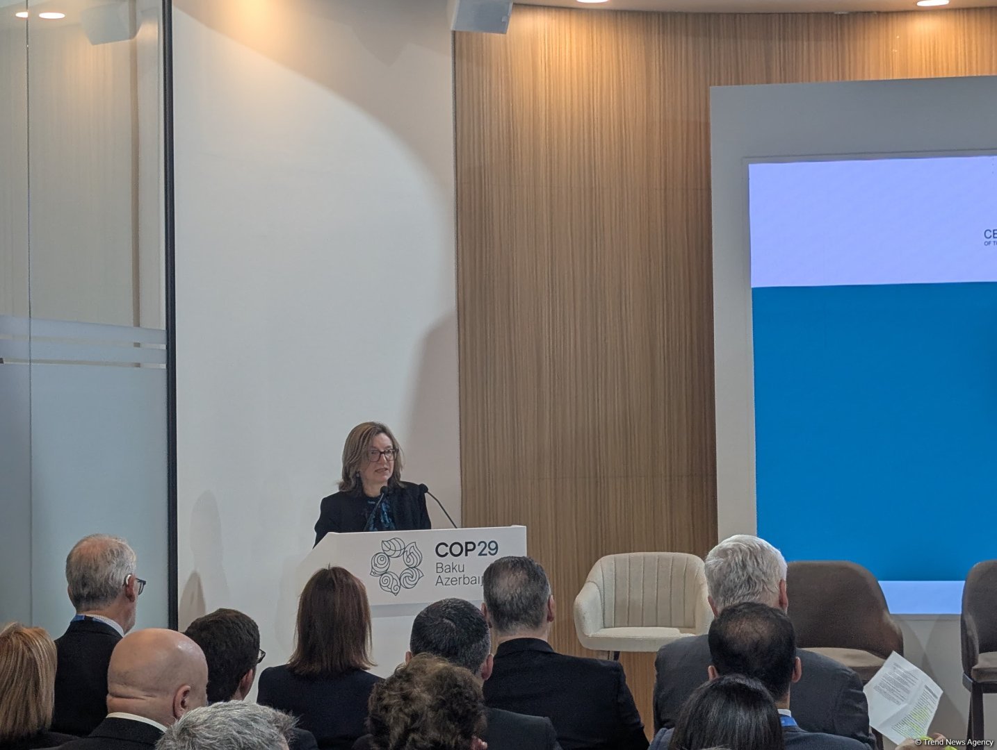 COP29 hosts panel discussion on sustainable finance within Finance, Investment, and Trade Day (PHOTO)