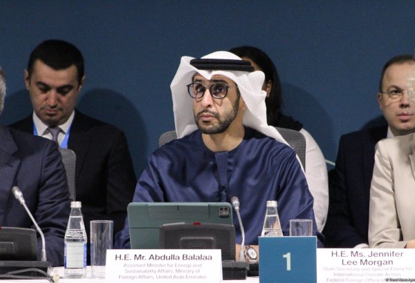 Nations affected by conflict and climate crisis see least climate financing - UAE official