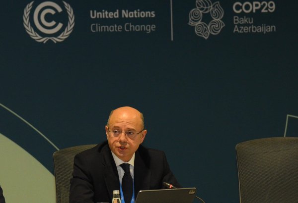 COP29 discussions to strengthen green energy partnership with Central Asian countries - minister